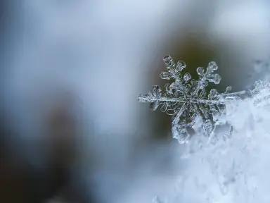 Design snowflake