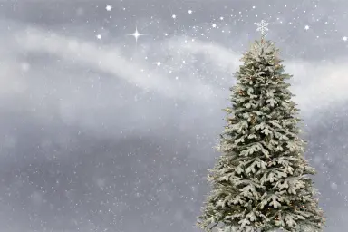 Design tree2
