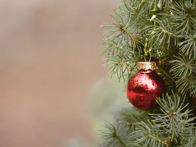 Design tree6