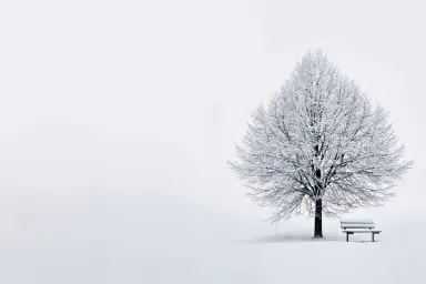 Design tree8